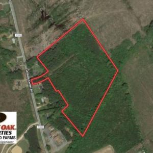 Photo of UNDER CONTRACT!  14 acres of Hunting and Timber Land for Sale in Gates County NC!