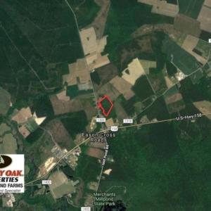 Photo of UNDER CONTRACT!  14 acres of Hunting and Timber Land for Sale in Gates County NC!