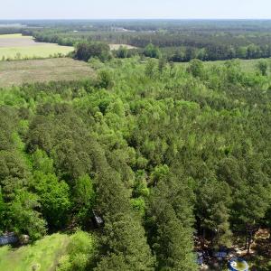 Photo of UNDER CONTRACT!  14 acres of Hunting and Timber Land for Sale in Gates County NC!