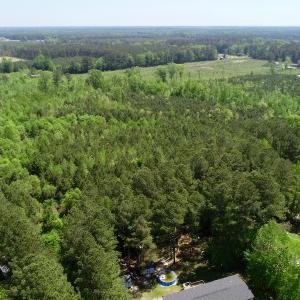 Photo of UNDER CONTRACT!  14 acres of Hunting and Timber Land for Sale in Gates County NC!