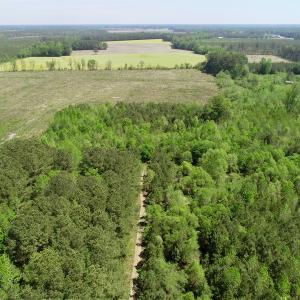 Photo of UNDER CONTRACT!  14 acres of Hunting and Timber Land for Sale in Gates County NC!