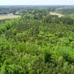 Photo of UNDER CONTRACT!  14 acres of Hunting and Timber Land for Sale in Gates County NC!