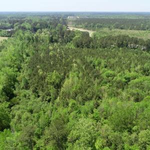 Photo of UNDER CONTRACT!  14 acres of Hunting and Timber Land for Sale in Gates County NC!