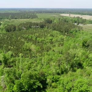 Photo of UNDER CONTRACT!  14 acres of Hunting and Timber Land for Sale in Gates County NC!