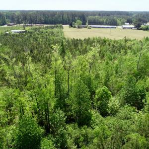 Photo of UNDER CONTRACT!  14 acres of Hunting and Timber Land for Sale in Gates County NC!