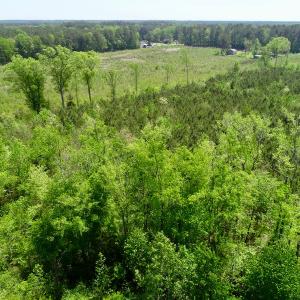 Photo of UNDER CONTRACT!  14 acres of Hunting and Timber Land for Sale in Gates County NC!