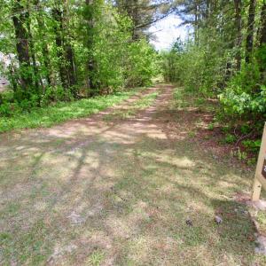Photo of UNDER CONTRACT!  14 acres of Hunting and Timber Land for Sale in Gates County NC!