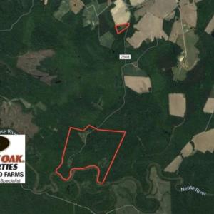 Photo of UNDER CONTRACT!  185 Acres of Hunting Land for Sale in Johnston County NC!
