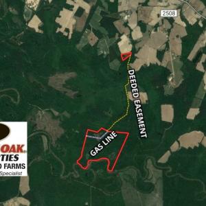 Photo of UNDER CONTRACT!  185 Acres of Hunting Land for Sale in Johnston County NC!