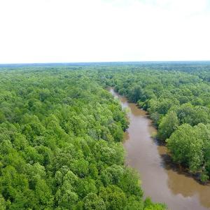 Photo of UNDER CONTRACT!  185 Acres of Hunting Land for Sale in Johnston County NC!