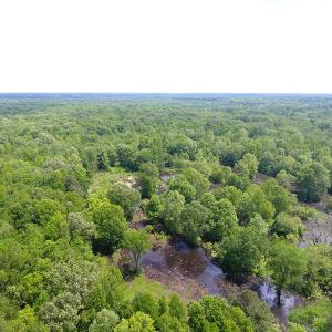 Photo of UNDER CONTRACT!  185 Acres of Hunting Land for Sale in Johnston County NC!