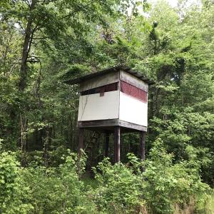 Photo of UNDER CONTRACT!  185 Acres of Hunting Land for Sale in Johnston County NC!