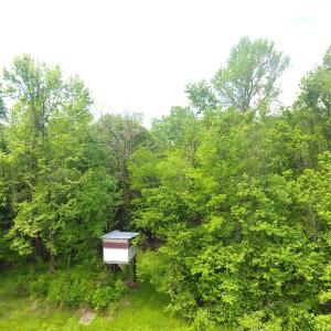Photo of UNDER CONTRACT!  185 Acres of Hunting Land for Sale in Johnston County NC!