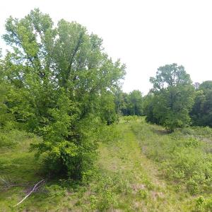 Photo of UNDER CONTRACT!  185 Acres of Hunting Land for Sale in Johnston County NC!