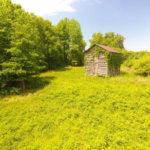 Photo of UNDER CONTRACT!  185 Acres of Hunting Land for Sale in Johnston County NC!