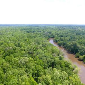 Photo of UNDER CONTRACT!  185 Acres of Hunting Land for Sale in Johnston County NC!