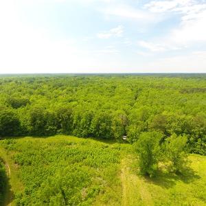 Photo of UNDER CONTRACT!  185 Acres of Hunting Land for Sale in Johnston County NC!