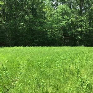 Photo of UNDER CONTRACT!  185 Acres of Hunting Land for Sale in Johnston County NC!