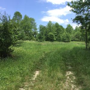 Photo of UNDER CONTRACT!  185 Acres of Hunting Land for Sale in Johnston County NC!