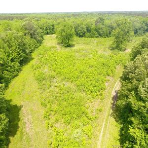 Photo of UNDER CONTRACT!  185 Acres of Hunting Land for Sale in Johnston County NC!