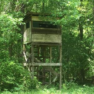 Photo of UNDER CONTRACT!  185 Acres of Hunting Land for Sale in Johnston County NC!