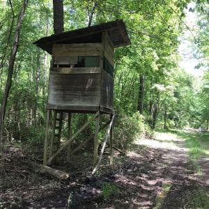 Photo of UNDER CONTRACT!  185 Acres of Hunting Land for Sale in Johnston County NC!