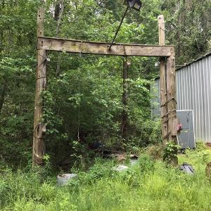 Photo of UNDER CONTRACT!  185 Acres of Hunting Land for Sale in Johnston County NC!