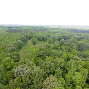 Photo of UNDER CONTRACT!  185 Acres of Hunting Land for Sale in Johnston County NC!