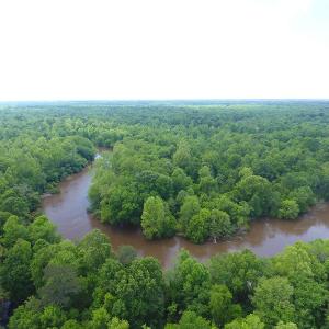 Photo of UNDER CONTRACT!  185 Acres of Hunting Land for Sale in Johnston County NC!