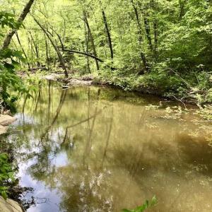 Photo of SOLD!  25 Acres of Hunting and Residential Land For Sale in Lunenburg County VA!