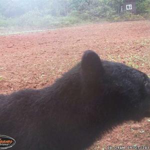 Photo of SOLD!  25 Acres of Hunting and Residential Land For Sale in Lunenburg County VA!