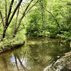 Photo of SOLD!  25 Acres of Hunting and Residential Land For Sale in Lunenburg County VA!