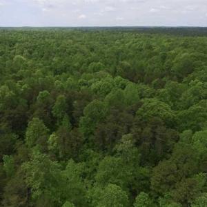 Photo of SOLD!  25 Acres of Hunting and Residential Land For Sale in Lunenburg County VA!