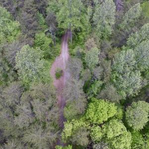 Photo of SOLD!  25 Acres of Hunting and Residential Land For Sale in Lunenburg County VA!