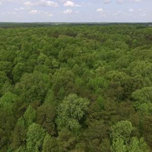 Photo of SOLD!  25 Acres of Hunting and Residential Land For Sale in Lunenburg County VA!