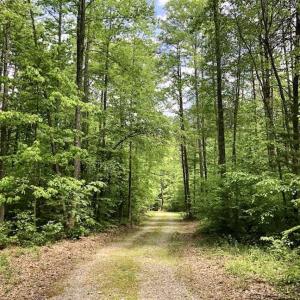 Photo of SOLD!  25 Acres of Hunting and Residential Land For Sale in Lunenburg County VA!