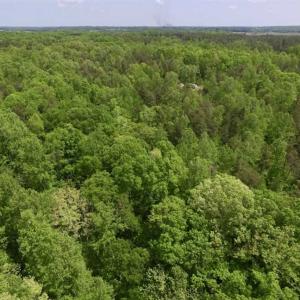 Photo of SOLD!  25 Acres of Hunting and Residential Land For Sale in Lunenburg County VA!