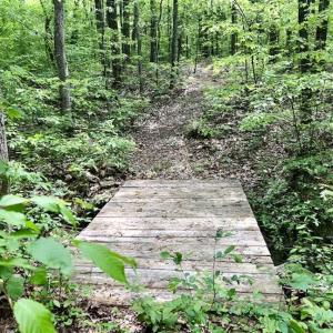 Photo of SOLD!  25 Acres of Hunting and Residential Land For Sale in Lunenburg County VA!