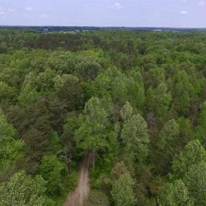 Photo of SOLD!  25 Acres of Hunting and Residential Land For Sale in Lunenburg County VA!