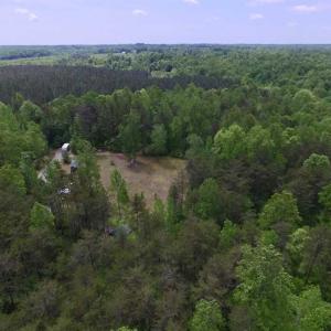 Photo of SOLD!  25 Acres of Hunting and Residential Land For Sale in Lunenburg County VA!