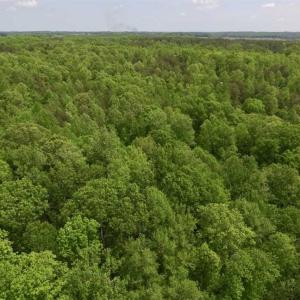 Photo of SOLD!  25 Acres of Hunting and Residential Land For Sale in Lunenburg County VA!