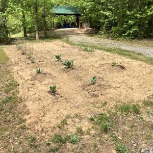 Photo of SOLD!  25 Acres of Hunting and Residential Land For Sale in Lunenburg County VA!