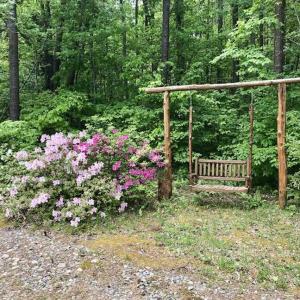 Photo of SOLD!  25 Acres of Hunting and Residential Land For Sale in Lunenburg County VA!