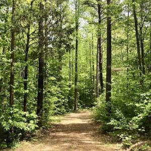 Photo of SOLD!  25 Acres of Hunting and Residential Land For Sale in Lunenburg County VA!