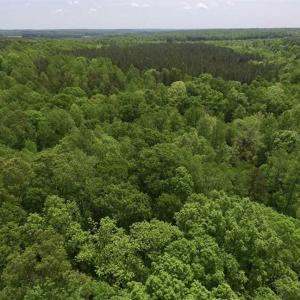 Photo of SOLD!  25 Acres of Hunting and Residential Land For Sale in Lunenburg County VA!
