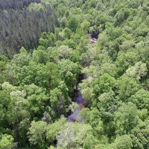 Photo of SOLD!  25 Acres of Hunting and Residential Land For Sale in Lunenburg County VA!