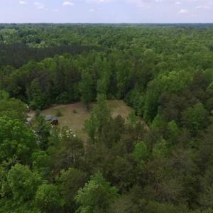 Photo of SOLD!  25 Acres of Hunting and Residential Land For Sale in Lunenburg County VA!