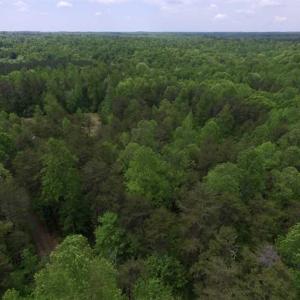 Photo of SOLD!  25 Acres of Hunting and Residential Land For Sale in Lunenburg County VA!