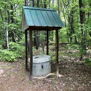 Photo of SOLD!  25 Acres of Hunting and Residential Land For Sale in Lunenburg County VA!