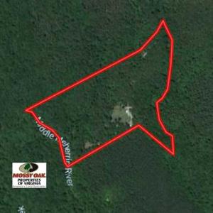 Photo of SOLD!  25 Acres of Hunting and Residential Land For Sale in Lunenburg County VA!
